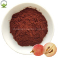 Natural Anti-Oxidant top Quality Grape Seed extract Powder